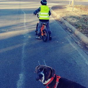 Meet your Posher, Clay